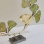 20251112_123251 Ginkgo Éternel