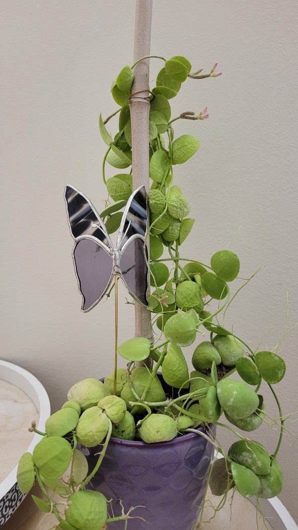 Papillon décoratif en verre à planter – Ornement pour pot de fleurs (intérieur)