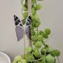 Papillon décoratif en verre à planter – Ornement pour pot de fleurs (intérieur)