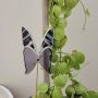Papillon décoratif en verre à planter – Ornement pour pot de fleurs (intérieur)