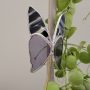 Papillon décoratif en verre à planter – Ornement pour pot de fleurs (intérieur)