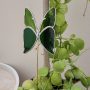 Papillon décoratif en verre à planter – Ornement pour pot de fleurs (intérieur)