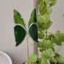 Papillon décoratif en verre à planter – Ornement pour pot de fleurs (intérieur)