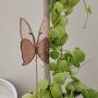 Papillon décoratif en verre à planter – Ornement pour pot de fleurs (intérieur)