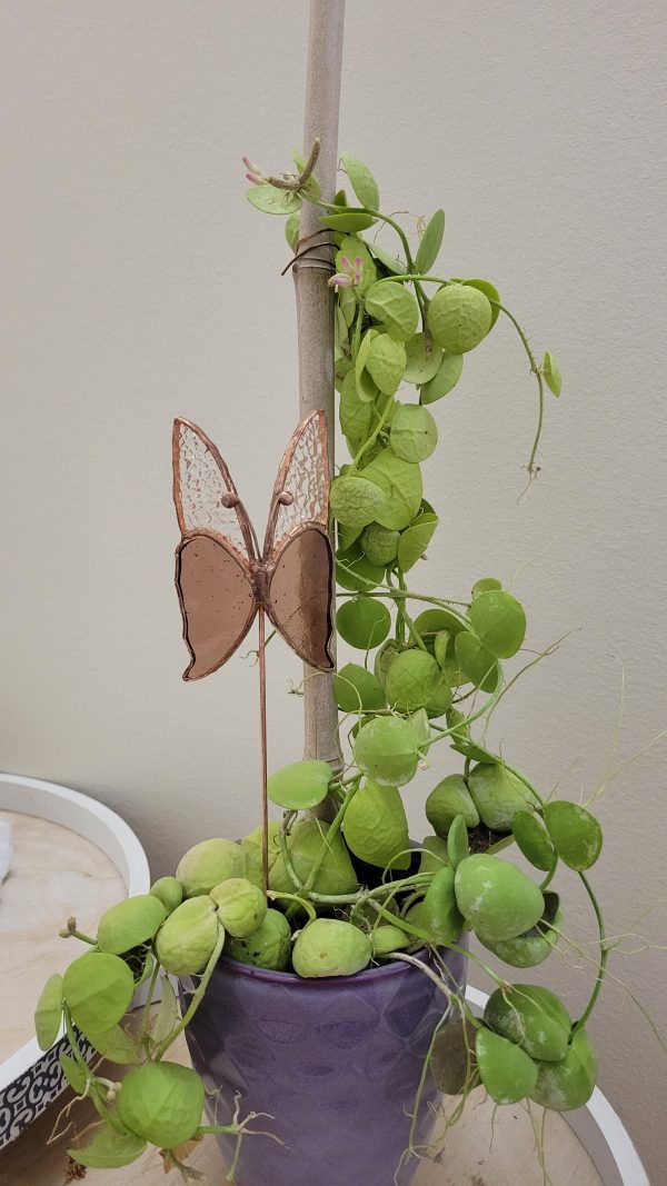 Papillon décoratif en verre à planter – Ornement pour pot de fleurs (intérieur)