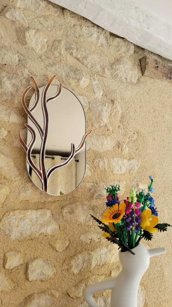 20260217_113600 Miroir Corail