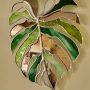 Miroir Feuille Monstera en Verre et Miroir – Décoration Murale Végétale